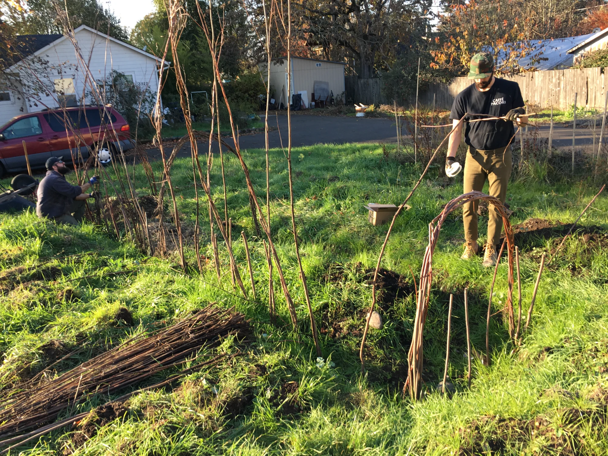 Building willow structures