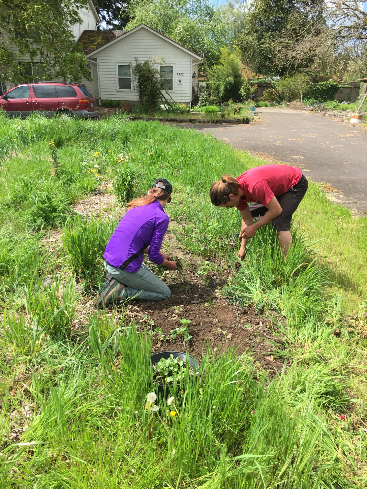 Garden volunteers