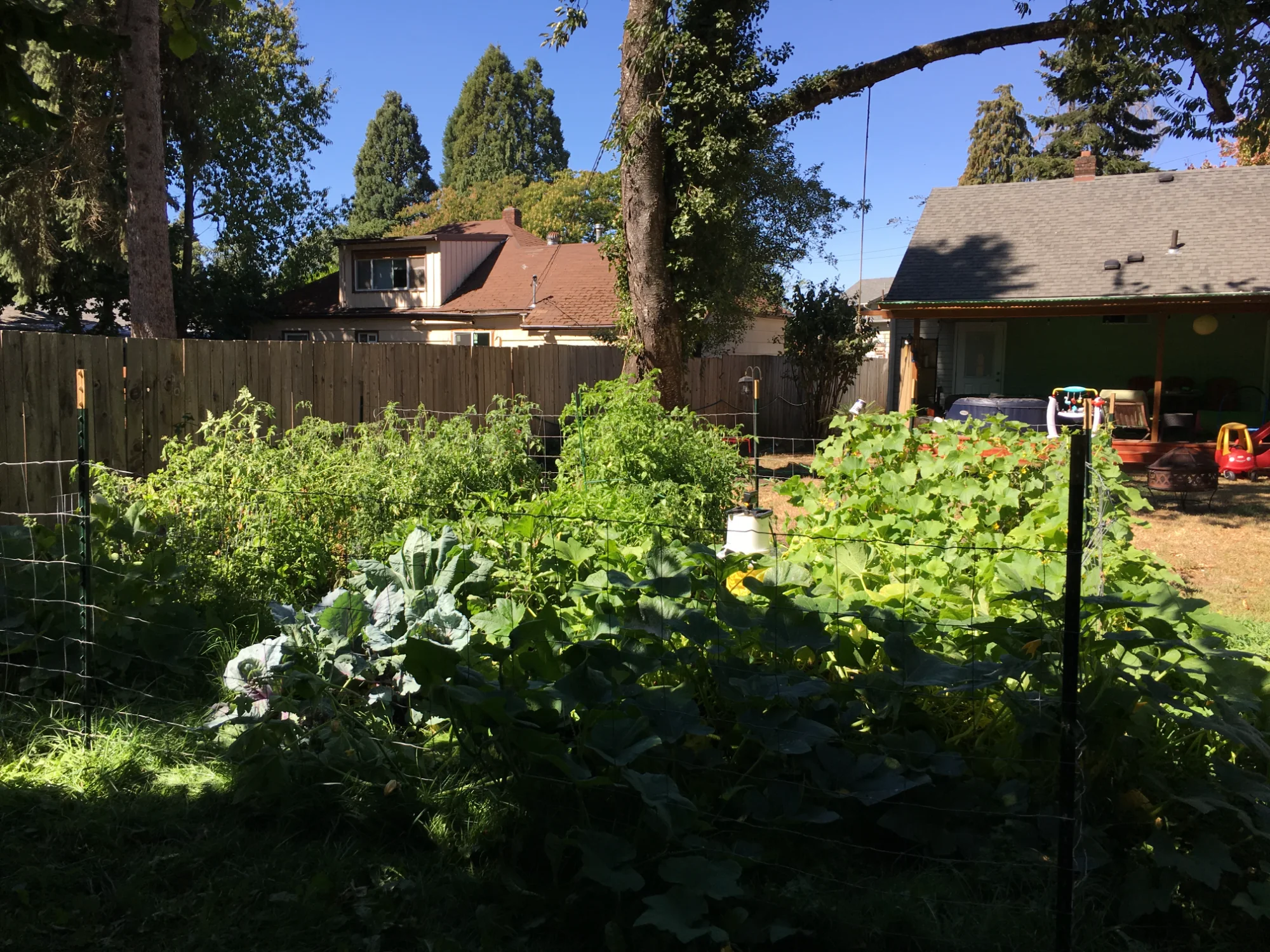 Thriving community garden