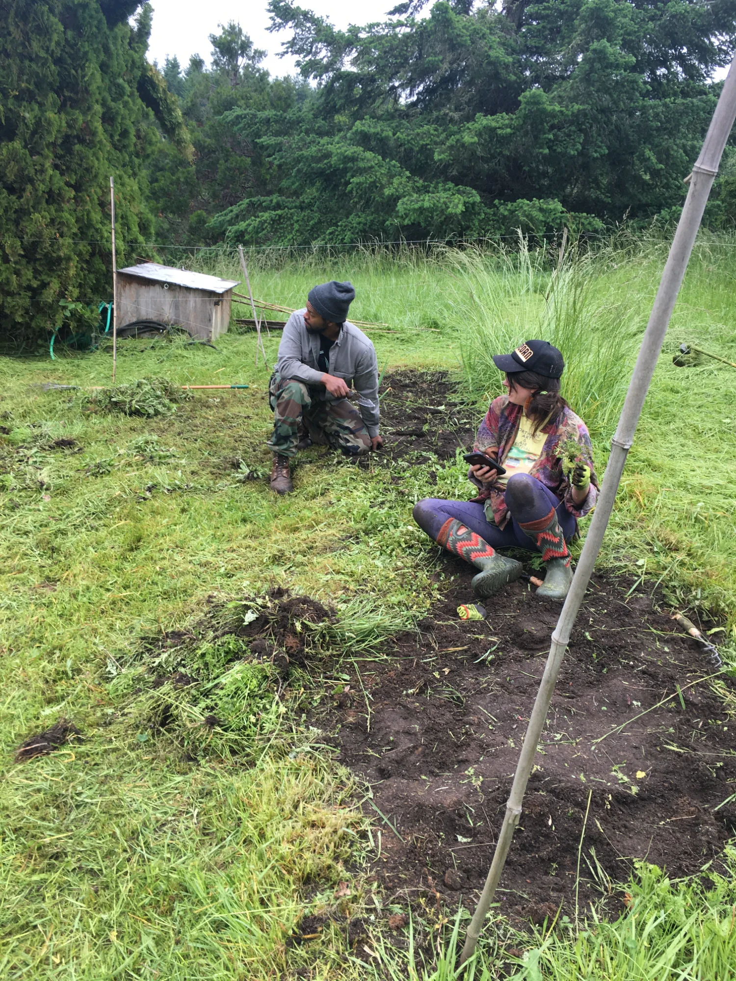 Garden volunteers planting