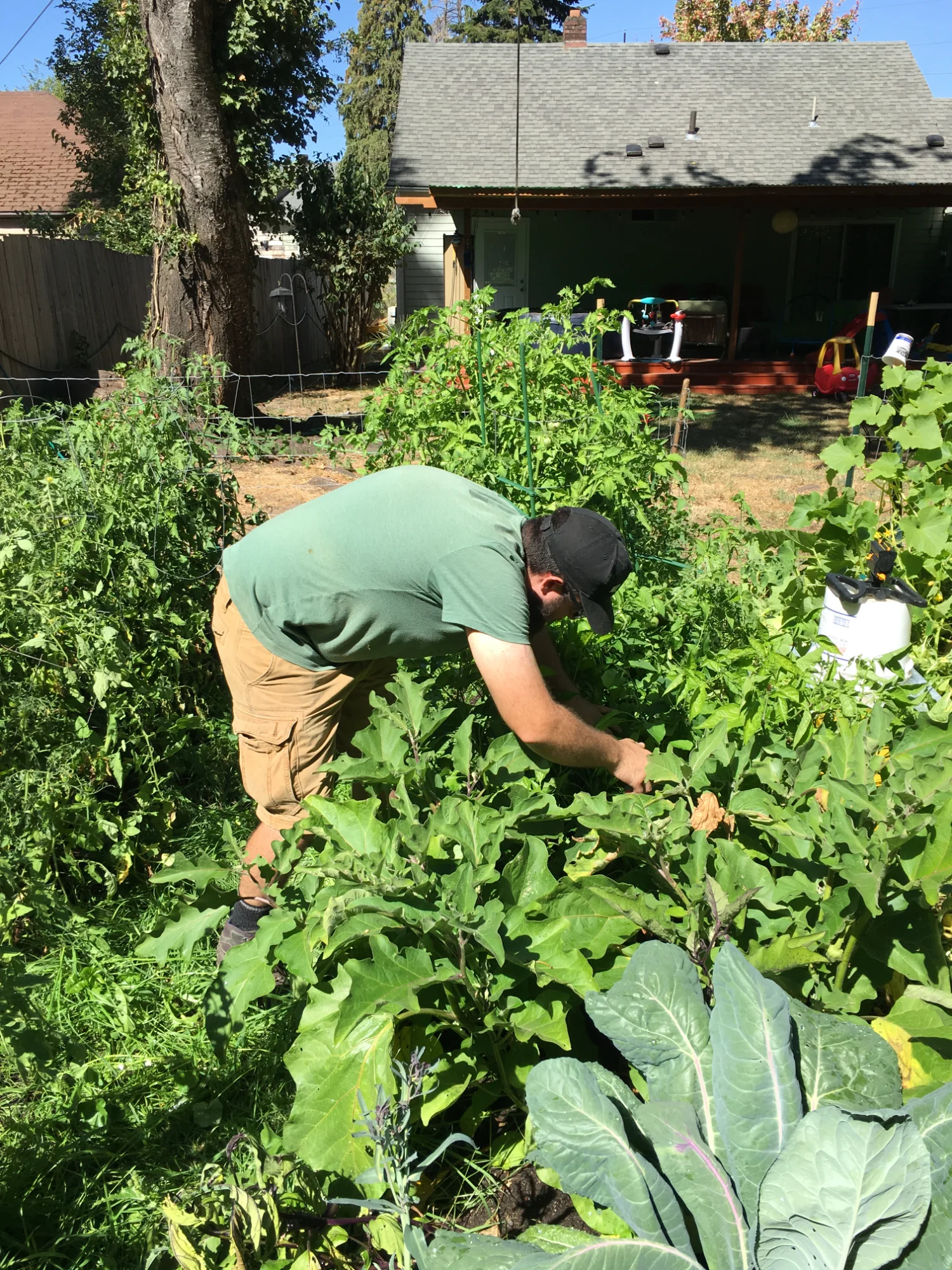 Working in raised garden bed