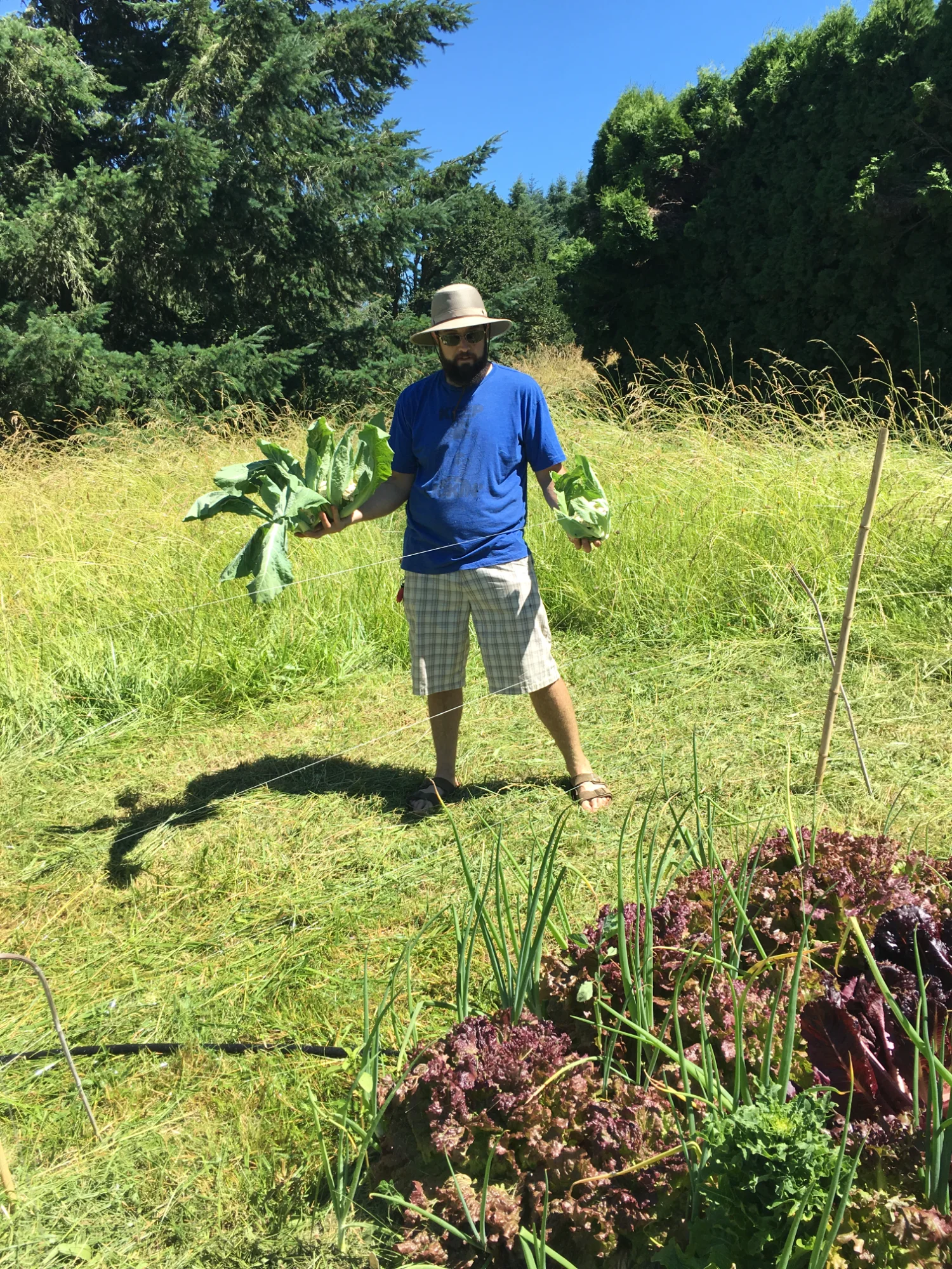 Displaying garden produce