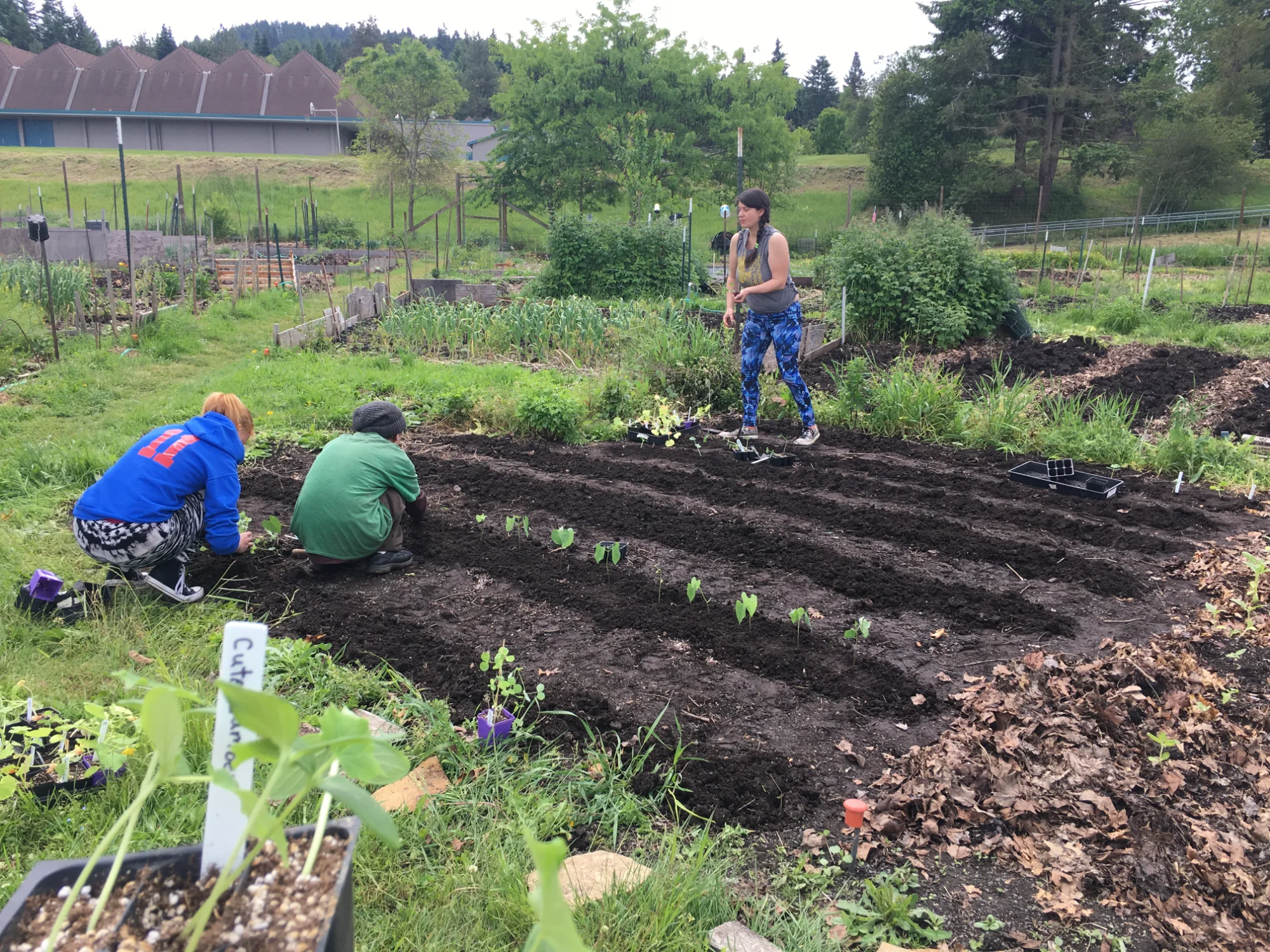 Team working at school farm