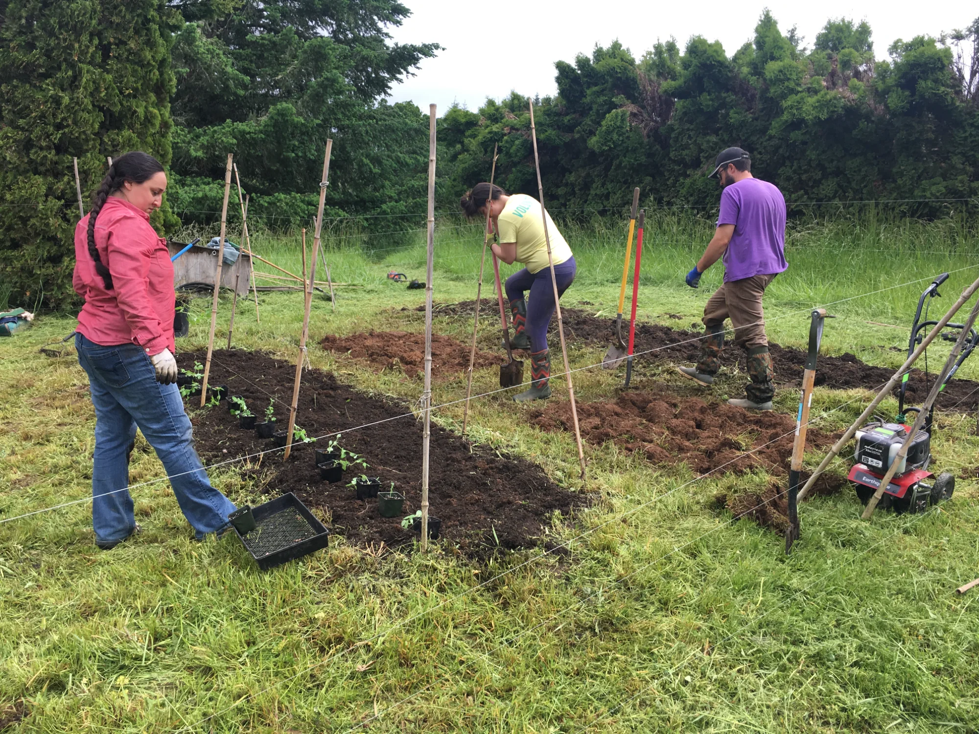 Garden crew at Patricia site