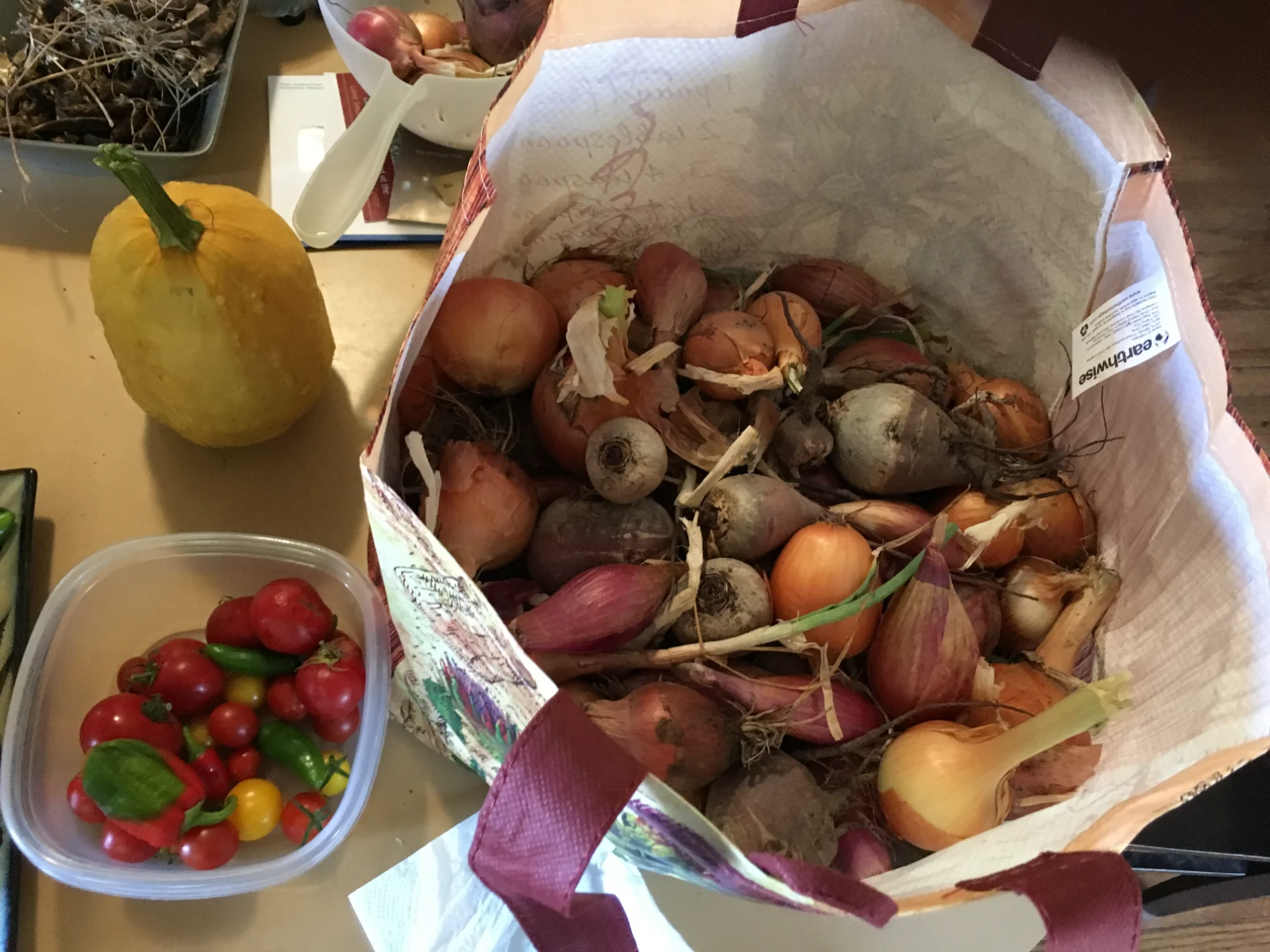 Fresh harvest vegetables