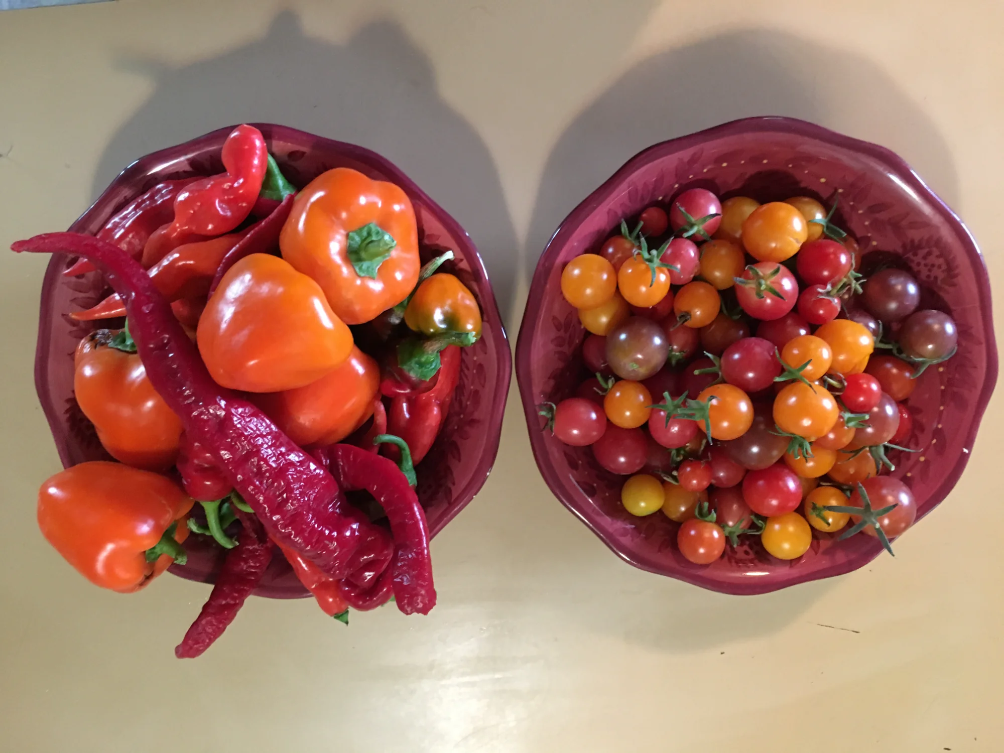 Colorful harvest display